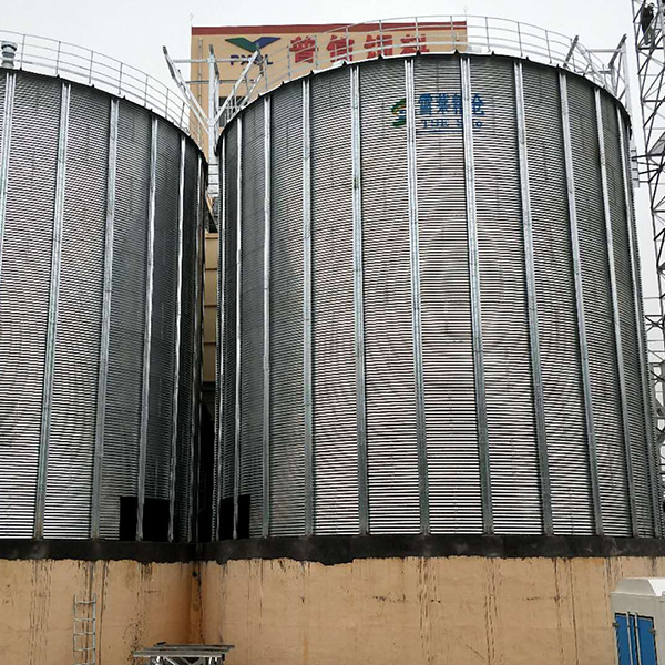 Galvanized Grain Silo Installation in Shandong Province