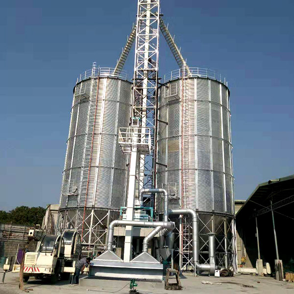 Galvanized Wheat Silos 2x300T are Being Installed in China